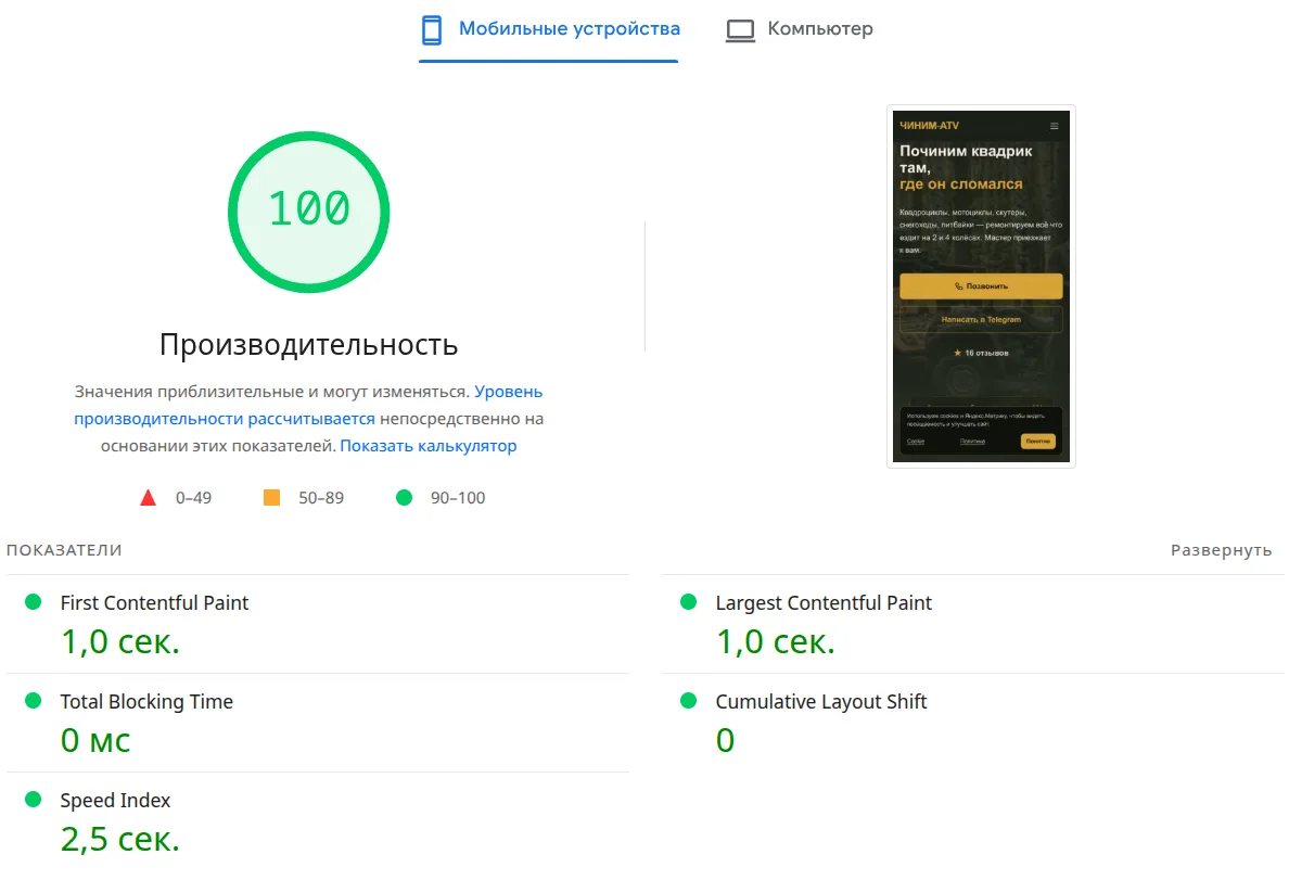 Скриншот PageSpeed Insights для chinim-atv.ru: мобильная проверка с оценкой производительности 100